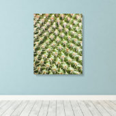 Toile Photographie Macro de Cactus (Insitu (Plancher de Bois))