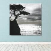 Toile Photographie nature noir et blanc (Insitu (Plancher de Bois))