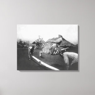 Toile Photographie sautante de barrière de zèbre