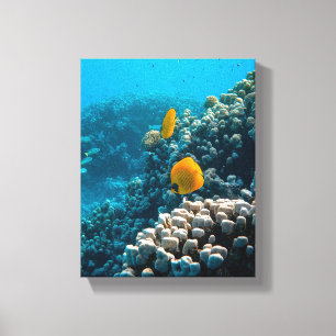 Toile Photos aquatiques nautiques Photographie d'animaux