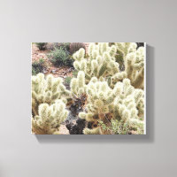 Photos de Cholla Cactus du désert