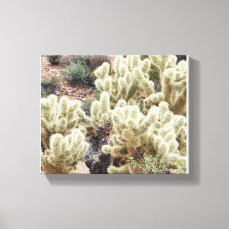 Toile Photos de Cholla Cactus du désert
