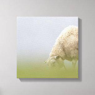 Toile Photos des moutons de pâturage