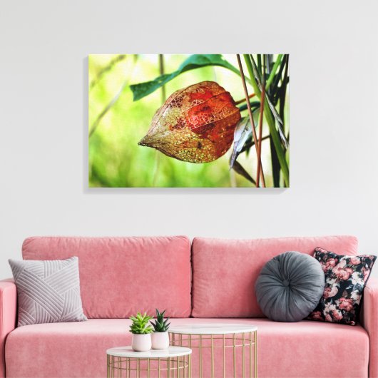 Toile Physalis alkekengi (Insitu(Salon))