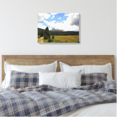 Toile Pic cathédral à Tuolumne Meadows, Yosemite, CA (Insitu(Chambre))