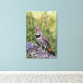 Toile Pic doré, Colaptes auratus, forme à hampe rouge (Insitu (Plancher de Bois))
