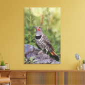 Toile Pic doré, Colaptes auratus, forme à hampe rouge (Insitu(Salon))