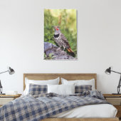 Toile Pic doré, Colaptes auratus, forme à hampe rouge (Insitu(Chambre))