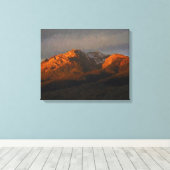 Toile Pic électrique (Insitu (Plancher de Bois))