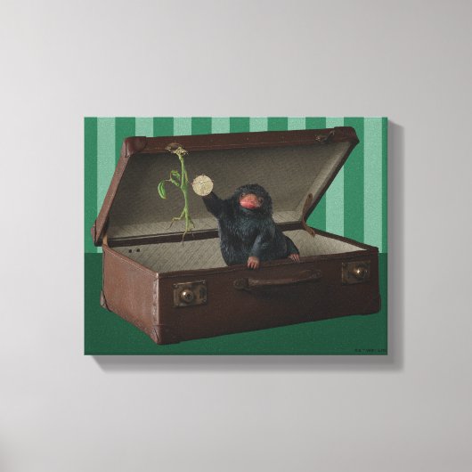 Toile Pickett & Teddy in Briefcase (Recto)