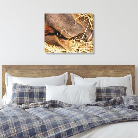 TOILE PIÈCES (Insitu(Chambre))