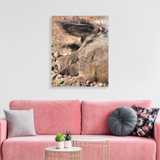 TOILE PIÈCES (Insitu(Salon))