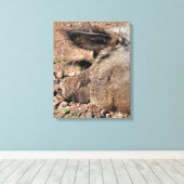 TOILE PIÈCES (Insitu (Plancher de Bois))