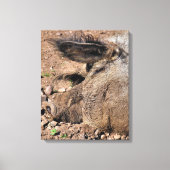 TOILE PIÈCES (Recto)