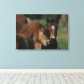 Toile Pieds miniatures 2 (Insitu (Plancher de Bois))