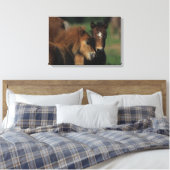 Toile Pieds miniatures 2 (Insitu(Chambre))