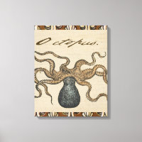 Pieuvre Kraken Antique Faune Marine Côtière