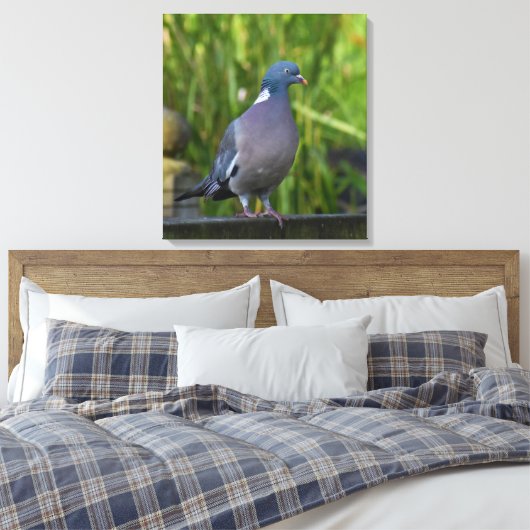 Toile Pigeon (Insitu(Chambre))