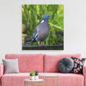 Toile Pigeon (Insitu(Salon))