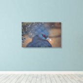 Toile pigeon couronné (Insitu (Plancher de Bois))