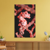 Toile Pigmy Seahorse en mer (Insitu(Salon))