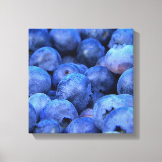 Toile pile de bleuets (Recto)
