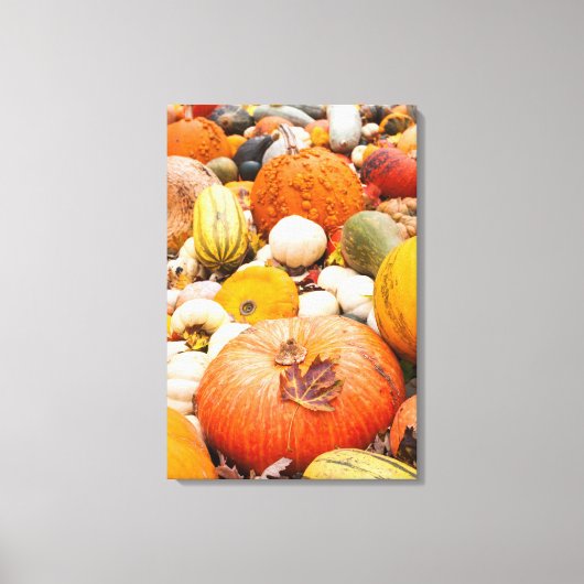 Toile Pile De Citrouilles Et Squash (Recto)