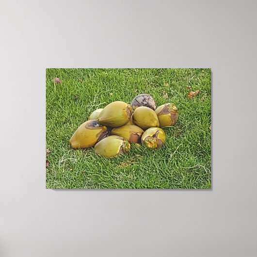 TOILE PILE DE COCOTIERS (Recto)