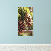 Toile Pin Bristle Cone (Insitu (Plancher de Bois))