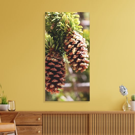Toile Pin Bristle Cone (Insitu(Salon))