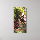 Toile Pin Bristle Cone (Recto)