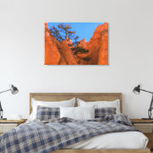 Toile Pin dans les hoodoos (Insitu(Chambre))