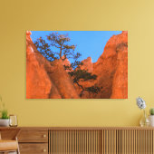 Toile Pin dans les hoodoos (Insitu(Salon))