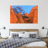 Toile Pin dans les hoodoos (Insitu(Chambre))
