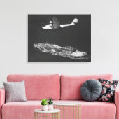 Toile Pince Chine panaméricaine survolée (Insitu(Salon))