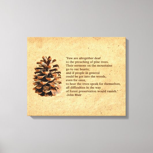 Toile Pine Cone Et John Muir Citation (Recto)