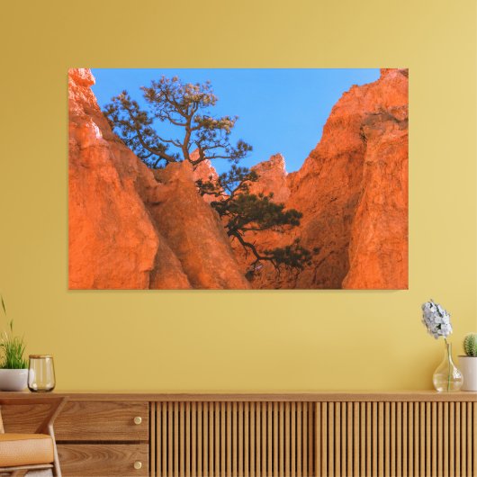 Toile Pine Tree In Hoodoos (Insitu(Salon))