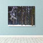 Toile pinède avec la neige Chypre (Insitu (Plancher de Bois))