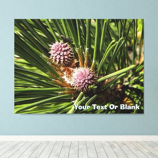 Toile Pinefer (Insitu (Plancher de Bois))
