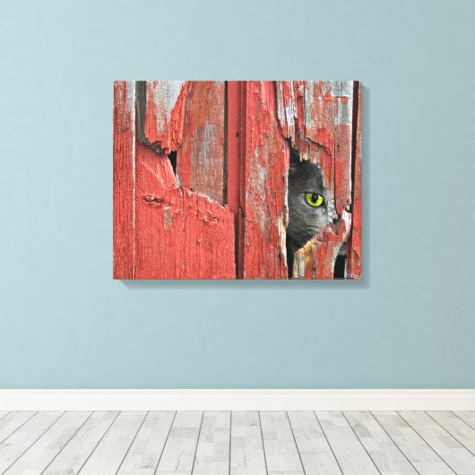 Toile Ping Tom (Insitu (Plancher de Bois))