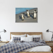 Toile Pingouins africains | Spheniscus Demersus (Insitu(Chambre))