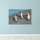 Toile Pingouins africains | Spheniscus Demersus (Insitu (Plancher de Bois))