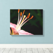 Toile Pink Asiatic Lily Closeuse (Insitu (Plancher de Bois))