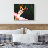 Toile Pink Asiatic Lily Closeuse (Insitu(Chambre))