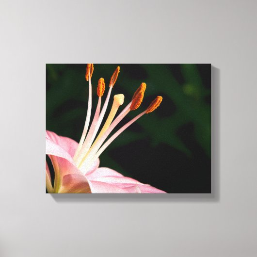Toile Pink Asiatic Lily Closeuse (Recto)