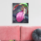 Toile Pink Lady Slipper Orchid Raindrop (Insitu(Salon))