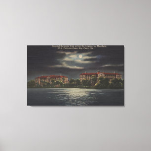 Toile Pins de baie, la Floride - vue éclairée par la