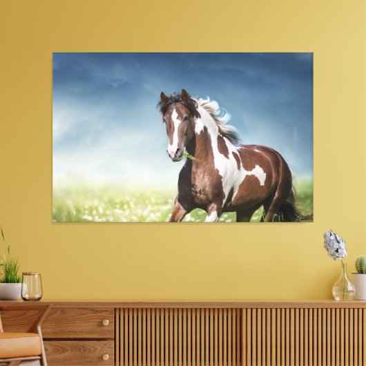 Toile Pinto Horse Gallops À Travers Flowery Spring Meado (Insitu(Salon))