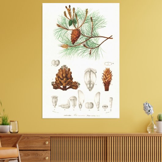 Toile Pinus maritima (Insitu(Salon))