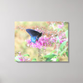 Toile Pipevine Swallowtail sur Buddleia (Recto)
